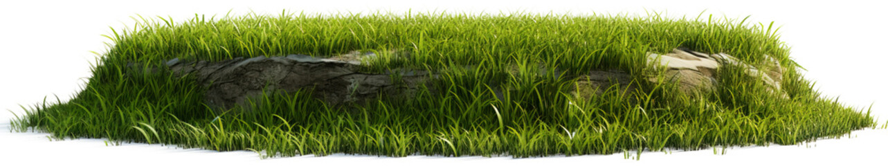 Fototapeta premium A small hill of green grass with a circular base isolated on transparent background. PNG 