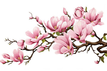 Obraz premium Flower nature magnolia pink tree blossoming plant spring floral blooming