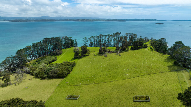 Agricultural farmland on the coast at the Hauraki gulf and its islands - Powered by Adobe