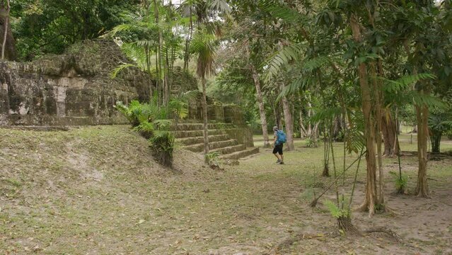 Hiker walking through rain forest to ancient temple steps - wide, slow motion tracking shot