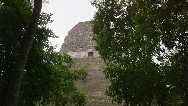 Epic tilt shot of ancient temple in Guatemala's Tika National Park