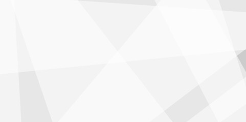 Fototapeta premium Abstract background with white and gray and geometric style with simple lines and corners, triangle as background geometric style with simple lines and corners, triangle as background paper texture 