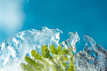Green plants and herbs frozen in transparent ice. The concept of cryotherapy in cosmetologists and...
