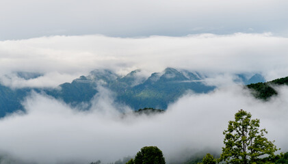 Landscape of mountain covered fog
