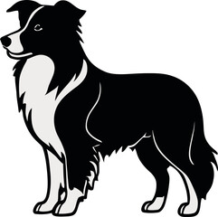 Canine Elegance: Border Collie Logo in Black and White