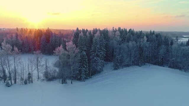 Aerial tracking shot revealing a hut and a sauna at a forest lake, frosty sunrise