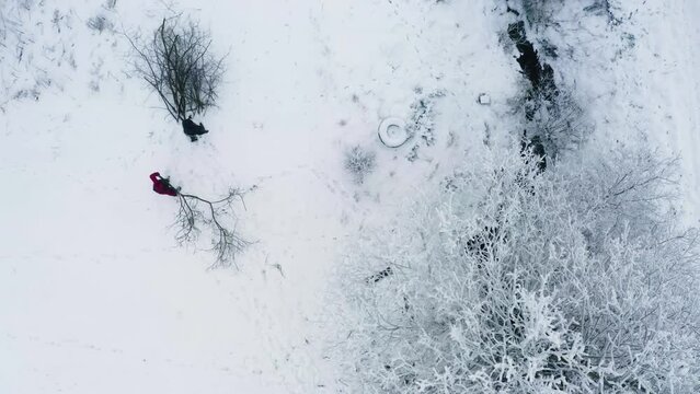Aerial view of people put tree branches in pile during winter with snowy treetop