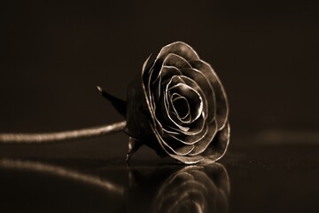 metal rose on a table, with black background