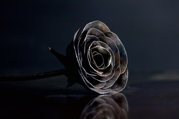 metal rose on a table, black background