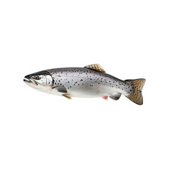 Obraz premium Salmon fish on transparent background Generative AI