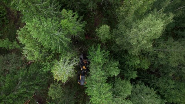 Aerial shot of Scandinavian finnish forest and forestry machine Ponsse Scorpion harvester filmed with DJI Air 2s