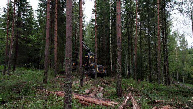 Aerial approaching shot of Scandinavian finnish forest and forestry machine Ponsse Scorpion harvester, shot with DJI Air 2s