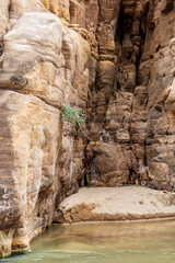 Rare  living green bushes grow from high cliffs at end of the Mujib River Canyon hiking trail in Wadi Al Mujib in Jordan