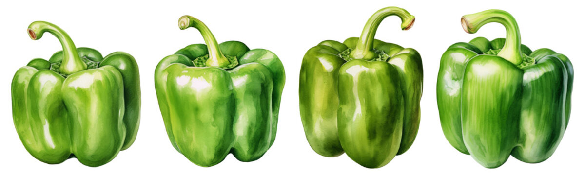 Green bell pepper png collection
