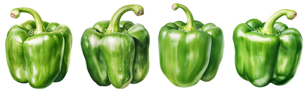Green bell pepper png collection