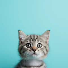 An adorable tabby kitten with striking eyes looking curiously at the camera, set against a plain blue background.