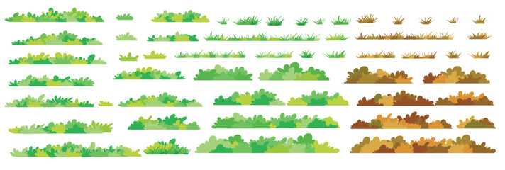 Abundant bushes form the forest.