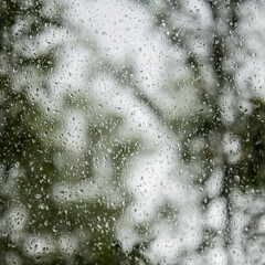 Raindrops on the window
