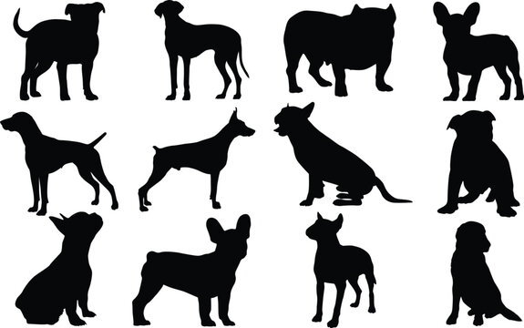 Dog silhouette animal isolated, Set of silhouettes Dogs, Dog Silhouette Set, Dog Vector