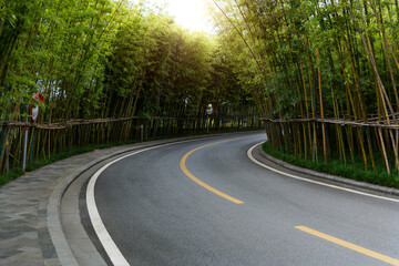 Obraz premium Bamboo forest on the roadside