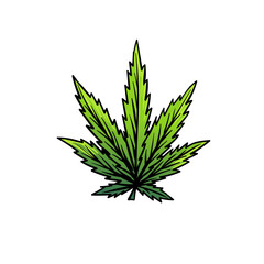 Cannabis leaf marijuana