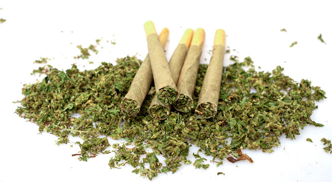 Pre-Roll marijuana joint with cannabis buds in a clear glass jar on the white background