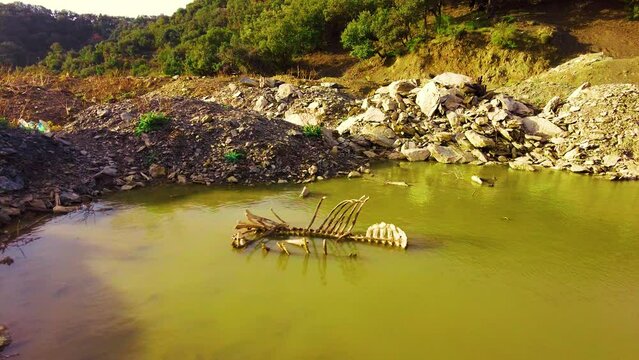 a skeleton carcase of a dead horse in a small lake at the top of the mountain