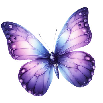 Purple Violet beautiful butterfly watercolor clip art illustration