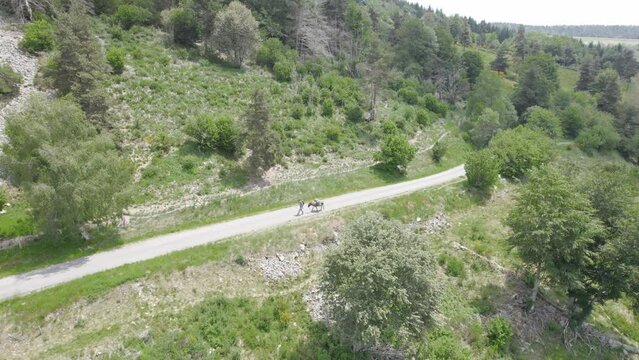 A Man and a Donkey Walking Along a Road - Aerial Drone Shot