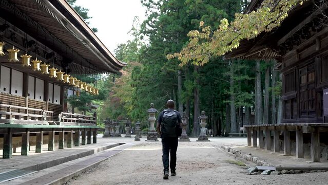 Solo Male Wearing Backpack Walking Along Path Looking At Row Of Hanging Golden Lanterns At Koyasan. Static Shot