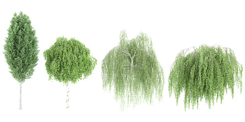 Jungle Carpinus betulus Frans Fontaine,Betula pendula Youngii trees shapes cutout 3d render