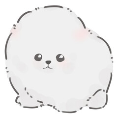 Cute Puppy