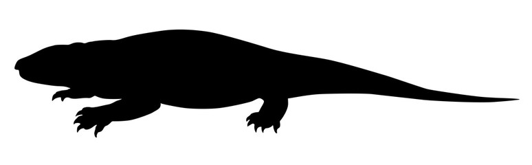 silhouette of an ancient reptile on a white background