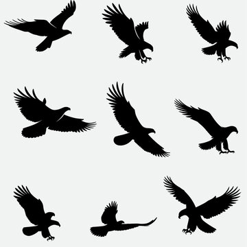 set of birds, set of eagle  silhouettes .