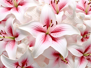 Pink lily-framed 3d wallpaper