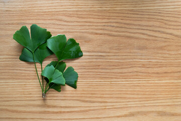 Ginkgo leaves on the table