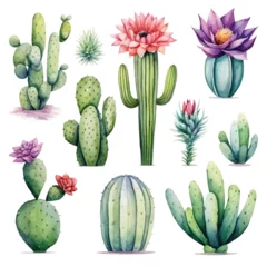 Fotobehang Cactus hawaii mexican mexico popular invitation painting tropic desert doodle print watercolor exotic w