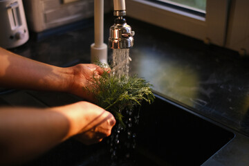 Woman rinses dill and parsley under running water close-up of hands