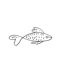 fish hand draw icon, vector best line icon.
