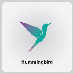 Hummingbird bird logo vector design