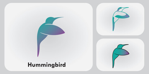Hummingbird bird logo vector design