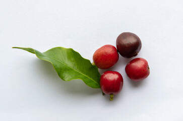 Red coffee beans and green leaf on white background