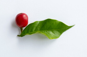 Red coffee bean and green leaf on white background