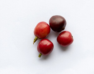 Red coffee beans on white background