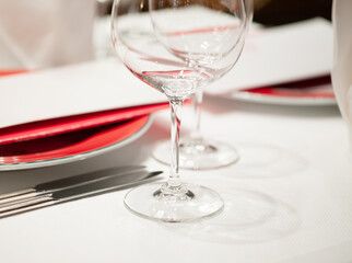 Elegant Table Setting