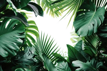 Fotobehang A vibrant picture of a jungle filled with lush green leaves. Perfect for nature enthusiasts and those seeking a peaceful natural setting © Fotograf