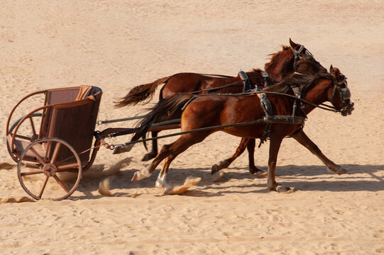 Jordan. Jerash. Chariot drawn by two horses without charioteer rushes along hippodrome of ancient city. Large two-wheeled cart (gig) at Jerash Hippodrome.