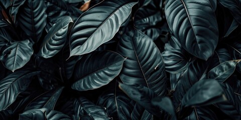 A close-up view of a bunch of green leaves. Ideal for nature enthusiasts and botanical-themed projects - obrazy, fototapety, plakaty
