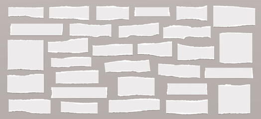 Set of torn, ripped white paper strips, notebook sheets with soft shadow are on grey background for text, notes, ad.