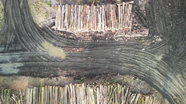 huge pile of logs from forests in the highlands of the Czech land attacked by bark beetle calamity which has no comparison, lumberyard, timer, log, dirtroad puddle, muddy, mud, control, quality